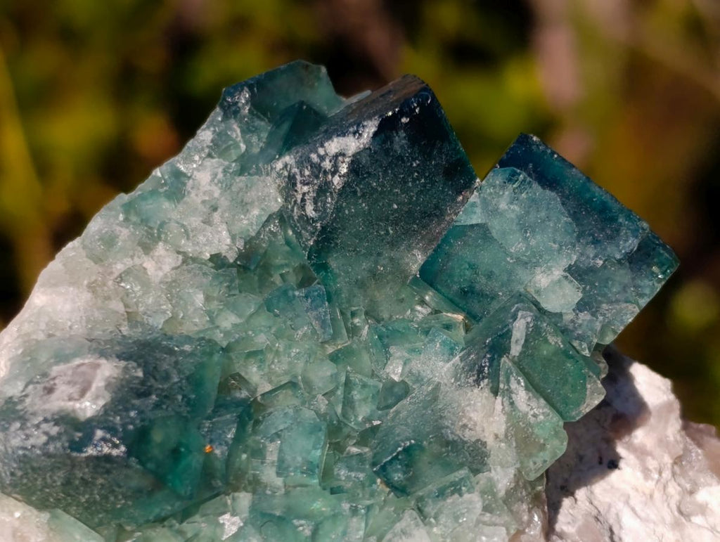 Natural Green Cubic Fluorite Specimens x 6 From Mandrosonoro, Madagascar - Toprock Gemstones and Minerals 