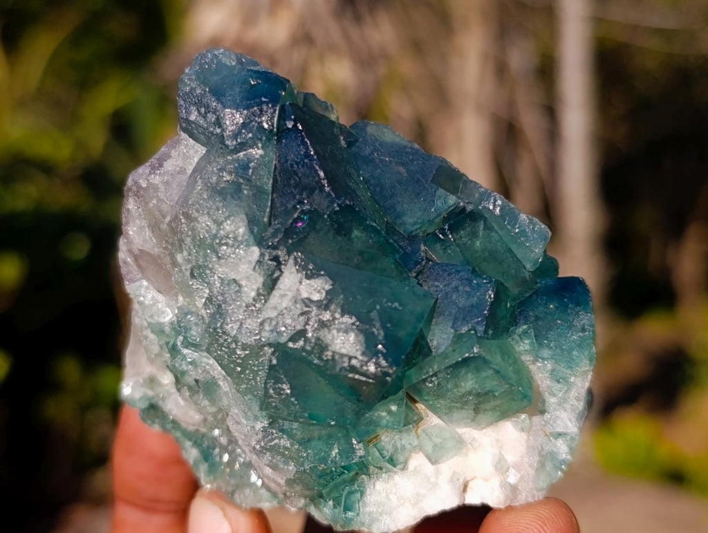 Natural Green Cubic Fluorite Specimens x 6 From Mandrosonoro, Madagascar - Toprock Gemstones and Minerals 