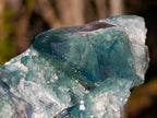 Natural Green Cubic Fluorite Specimens x 6 From Mandrosonoro, Madagascar - Toprock Gemstones and Minerals 