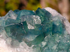 Natural Green Cubic Fluorite Specimens x 6 From Mandrosonoro, Madagascar - Toprock Gemstones and Minerals 
