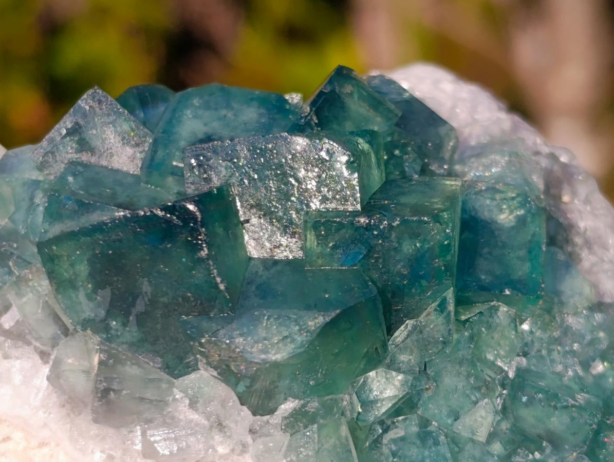 Natural Green Cubic Fluorite Specimens x 6 From Mandrosonoro, Madagascar - Toprock Gemstones and Minerals 