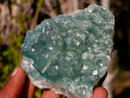 Natural Green Cubic Fluorite Specimens x 6 From Mandrosonoro, Madagascar - Toprock Gemstones and Minerals 