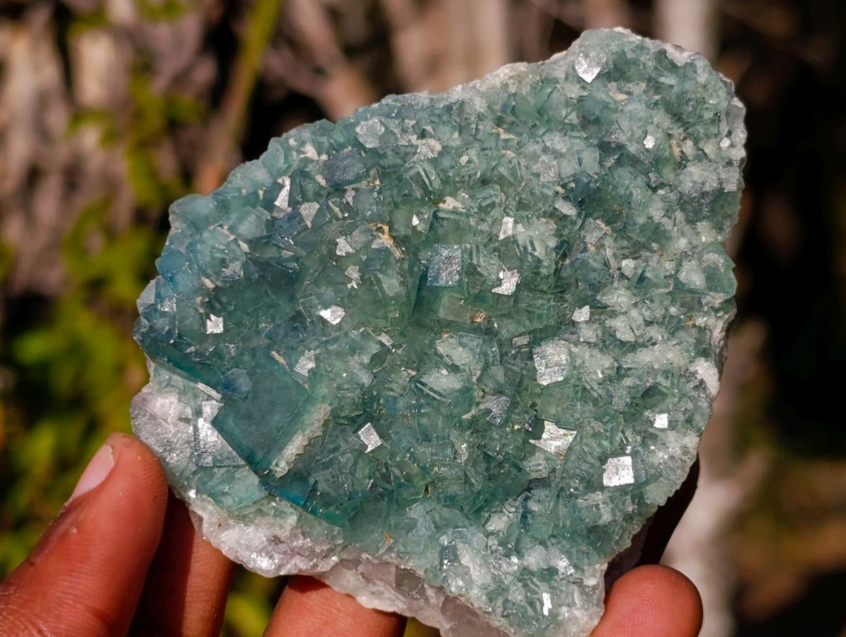 Natural Green Cubic Fluorite Specimens x 6 From Mandrosonoro, Madagascar - Toprock Gemstones and Minerals 