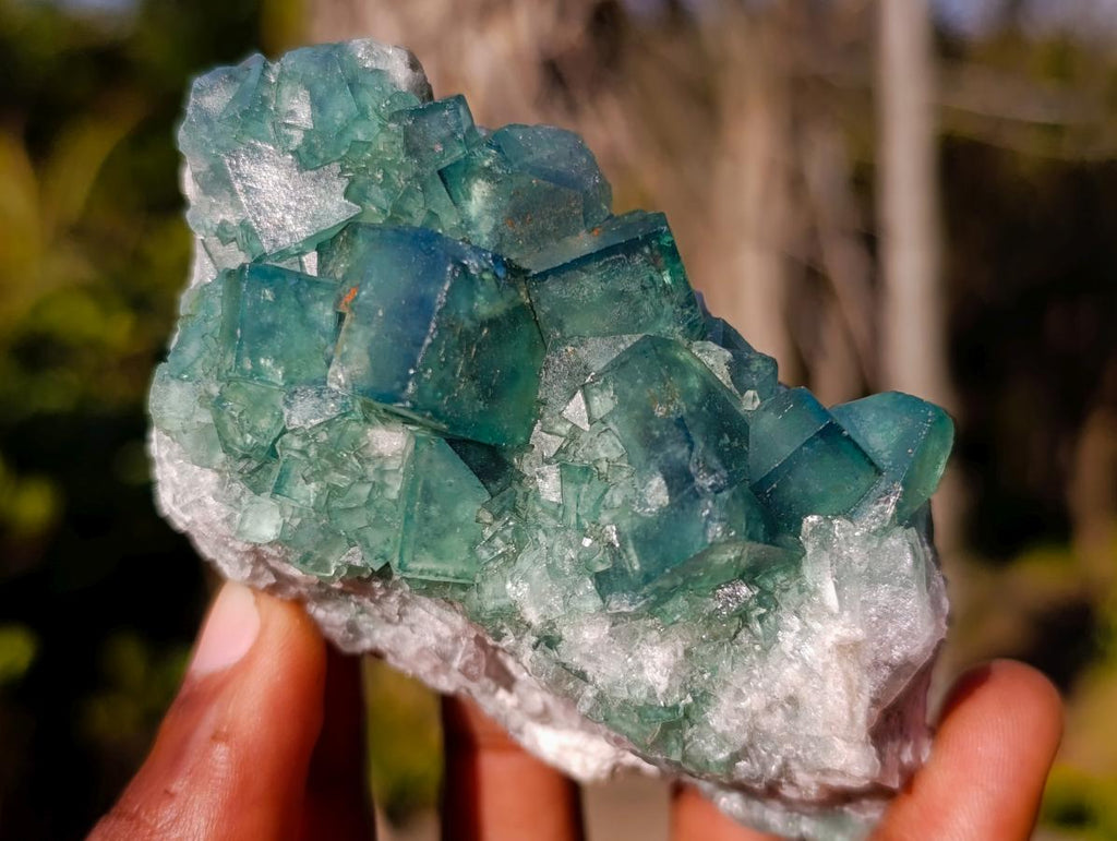 Natural Green Cubic Fluorite Specimens x 6 From Mandrosonoro, Madagascar - Toprock Gemstones and Minerals 