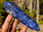 Polished Double Terminated Sodalite Crystals x 6 From Kunene River, Namibia - Toprock Gemstones and Minerals 