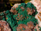 Natural XL Crystalline Ball Malachite Specimen with Quartz on Dolomite Matrix x 1 From Mindingi Mine, Congo - Toprock Gemstones and Minerals 