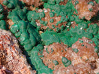 Natural XL Crystalline Ball Malachite Specimen with Quartz on Dolomite Matrix x 1 From Mindingi Mine, Congo - Toprock Gemstones and Minerals 