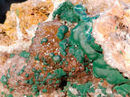Natural XL Crystalline Ball Malachite Specimen with Quartz on Dolomite Matrix x 1 From Mindingi Mine, Congo - Toprock Gemstones and Minerals 