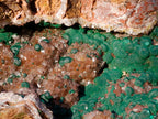 Natural XL Crystalline Ball Malachite Specimen with Quartz on Dolomite Matrix x 1 From Mindingi Mine, Congo - Toprock Gemstones and Minerals 