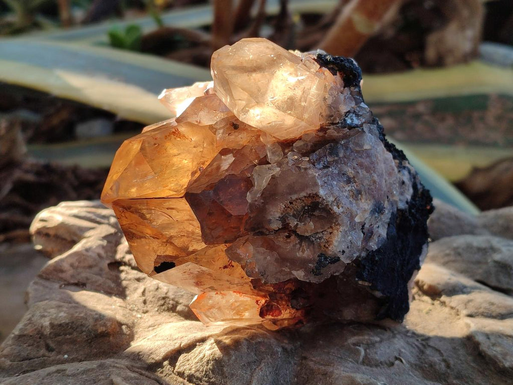 Natural Smokey Citrine Quartz Clusters x 4 From Luena, Congo - Toprock Gemstones and Minerals 