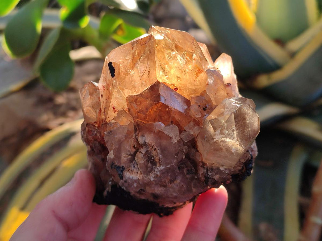 Natural Smokey Citrine Quartz Clusters x 4 From Luena, Congo - Toprock Gemstones and Minerals 