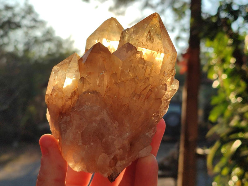 Natural Smokey Citrine Quartz Clusters x 4 From Luena, Congo - Toprock Gemstones and Minerals 
