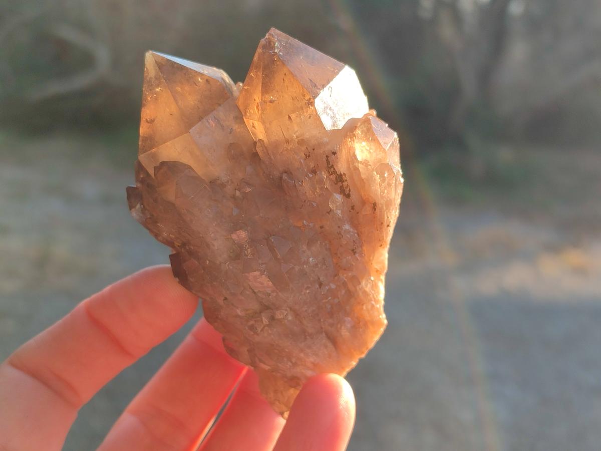 Natural Smokey Citrine Quartz Clusters x 4 From Luena, Congo - Toprock Gemstones and Minerals 