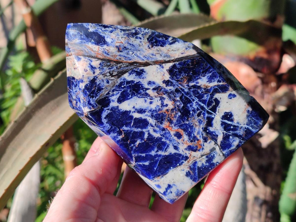 Polished Sodalite Display Crystals x 3 From Kunene River, Namibia - Toprock Gemstones and Minerals 