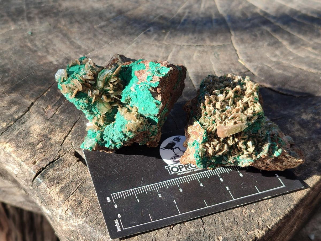 Natural Rare Bladed Barite Specimens with Malachite x 6 From Shangulowé Mine, Congo - Toprock Gemstones and Minerals 