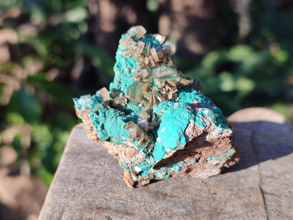 Natural Rare Bladed Barite Specimens with Malachite x 6 From Shangulowé Mine, Congo - Toprock Gemstones and Minerals 