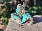 Natural Rare Bladed Barite Specimens with Malachite x 6 From Shangulowé Mine, Congo - Toprock Gemstones and Minerals 