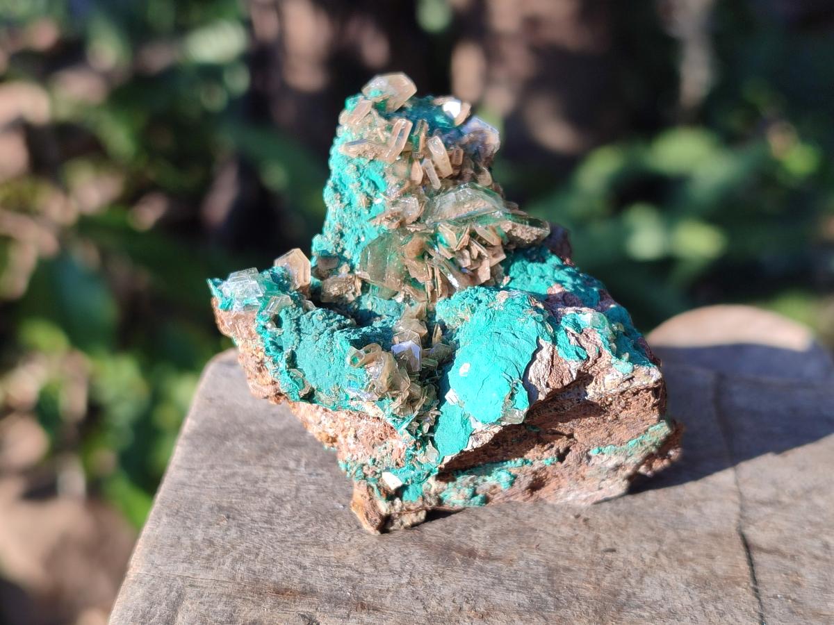 Natural Rare Bladed Barite Specimens with Malachite x 6 From Shangulowé Mine, Congo - Toprock Gemstones and Minerals 