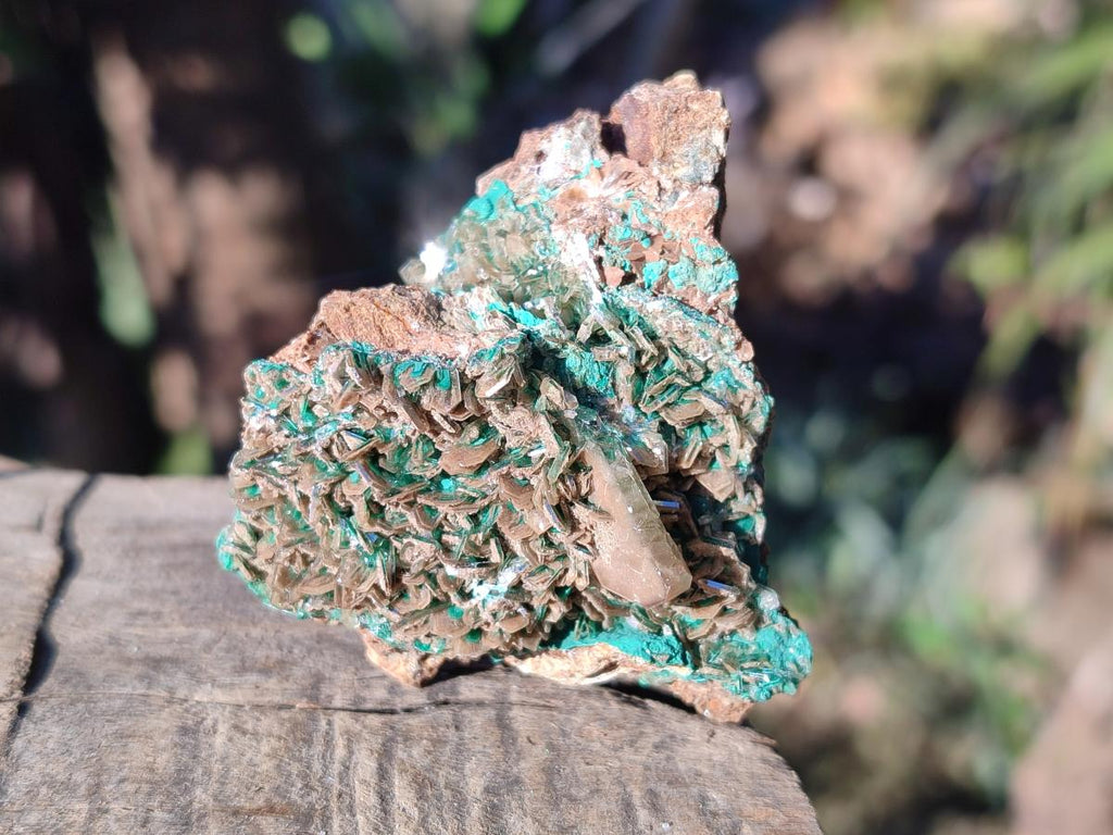 Natural Rare Bladed Barite Specimens with Malachite x 6 From Shangulowé Mine, Congo - Toprock Gemstones and Minerals 
