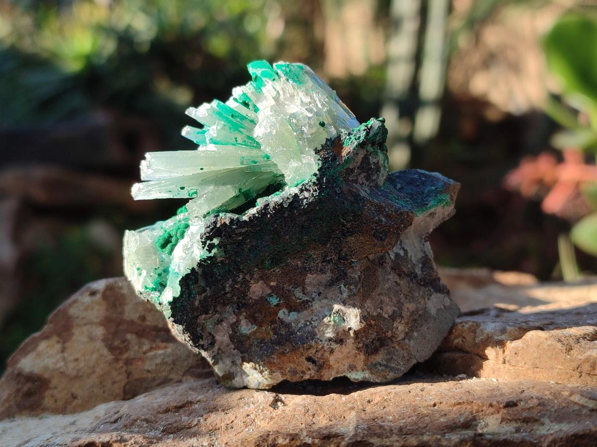 Natural Rare Bladed Barite Specimens with Malachite x 6 From Shangulowé Mine, Congo - Toprock Gemstones and Minerals 