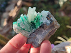 Natural Rare Bladed Barite Specimens with Malachite x 6 From Shangulowé Mine, Congo - Toprock Gemstones and Minerals 
