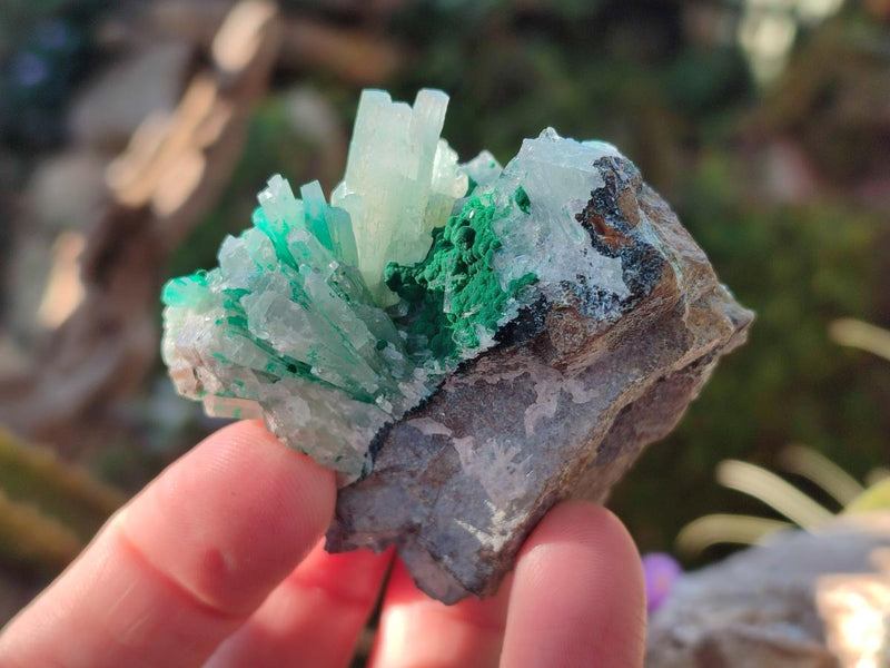 Natural Rare Bladed Barite Specimens with Malachite x 6 From Shangulowé Mine, Congo - Toprock Gemstones and Minerals 