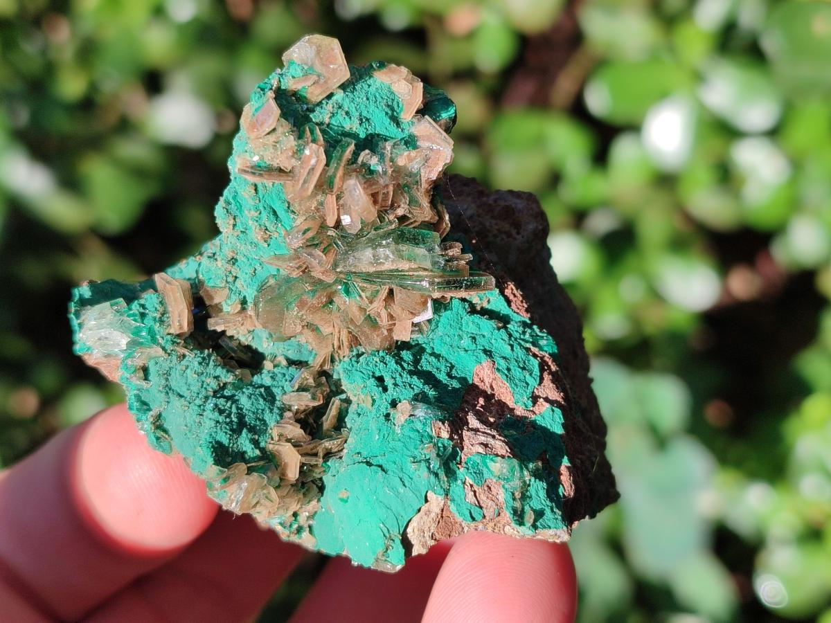 Natural Rare Bladed Barite Specimens with Malachite x 6 From Shangulowé Mine, Congo - Toprock Gemstones and Minerals 