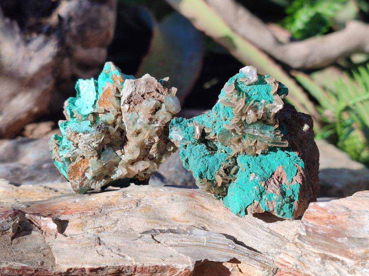 Natural Rare Bladed Barite Specimens with Malachite x 6 From Shangulowé Mine, Congo - Toprock Gemstones and Minerals 