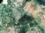 Natural Large Green Cubic Fluorite Specimens x 2 From Mandrosonoro, Madagascar - Toprock Gemstones and Minerals 