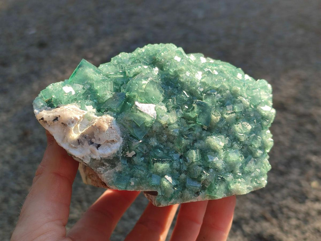 Natural Large Green Cubic Fluorite Specimens x 2 From Mandrosonoro, Madagascar - Toprock Gemstones and Minerals 