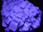 Natural Large Green Cubic Fluorite Specimens x 2 From Mandrosonoro, Madagascar - Toprock Gemstones and Minerals 