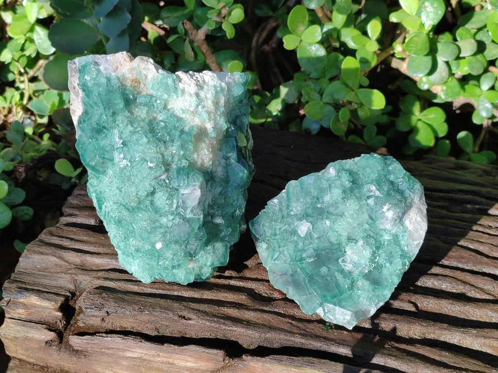 Natural Large Green Cubic Fluorite Specimens x 2 From Mandrosonoro, Madagascar - Toprock Gemstones and Minerals 