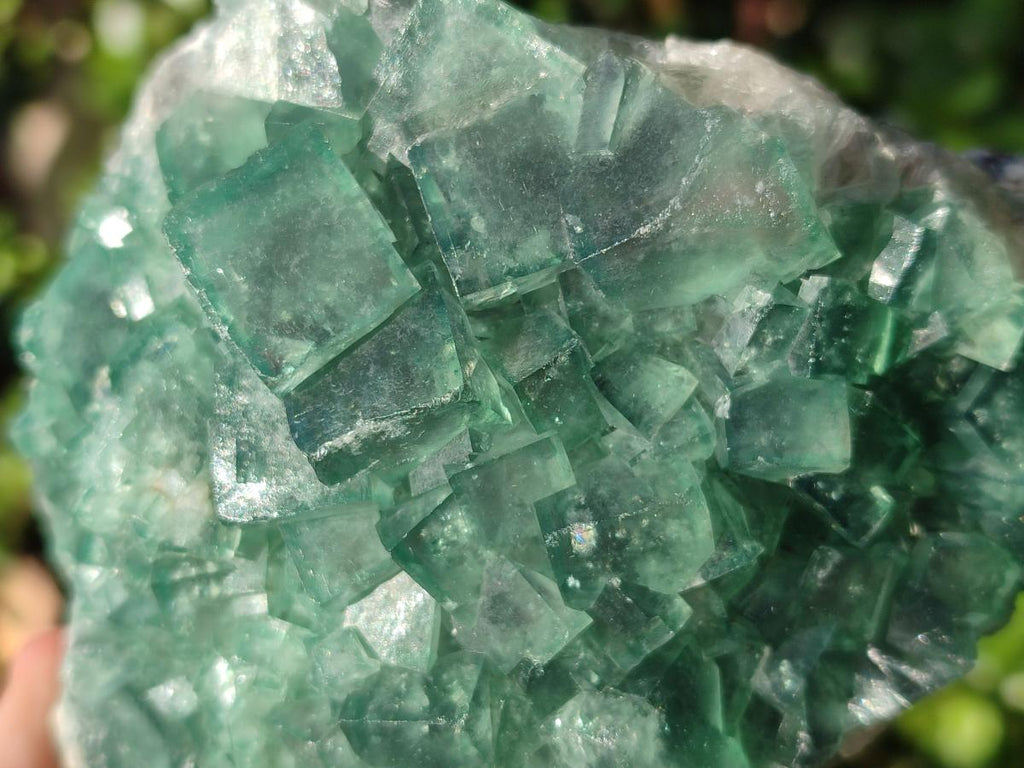 Natural Large Green Cubic Fluorite Specimens x 2 From Mandrosonoro, Madagascar - Toprock Gemstones and Minerals 