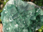 Natural Large Green Cubic Fluorite Specimens x 2 From Mandrosonoro, Madagascar - Toprock Gemstones and Minerals 
