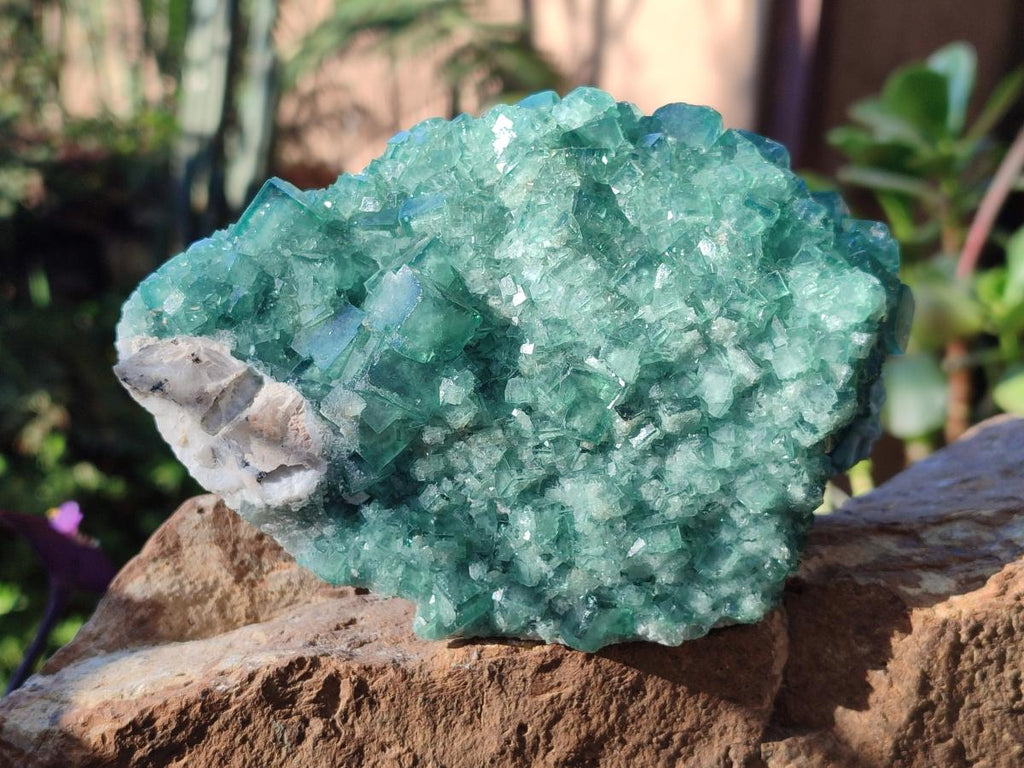 Natural Large Green Cubic Fluorite Specimens x 2 From Mandrosonoro, Madagascar - Toprock Gemstones and Minerals 
