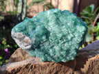 Natural Large Green Cubic Fluorite Specimens x 2 From Mandrosonoro, Madagascar - Toprock Gemstones and Minerals 