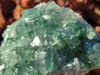Natural Large Green Cubic Fluorite Specimens x 2 From Mandrosonoro, Madagascar - Toprock Gemstones and Minerals 