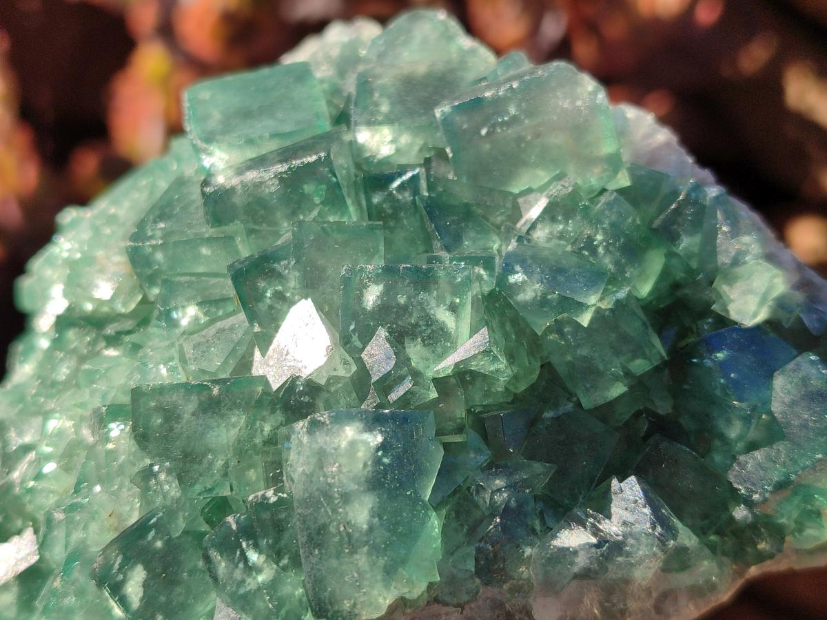 Natural Large Green Cubic Fluorite Specimens x 2 From Mandrosonoro, Madagascar - Toprock Gemstones and Minerals 