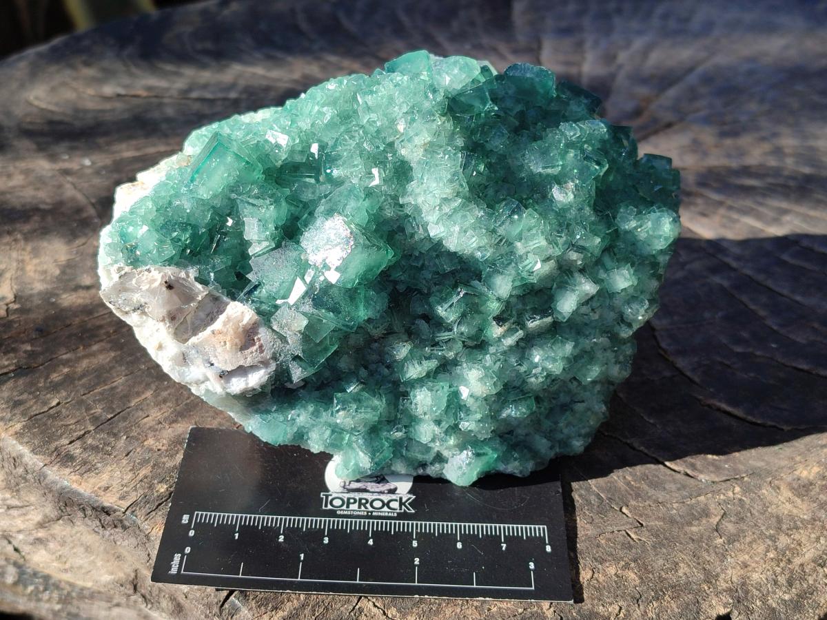 Natural Large Green Cubic Fluorite Specimens x 2 From Mandrosonoro, Madagascar - Toprock Gemstones and Minerals 