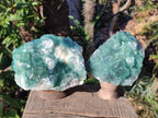 Natural Large Green Cubic Fluorite Specimens x 2 From Mandrosonoro, Madagascar - Toprock Gemstones and Minerals 