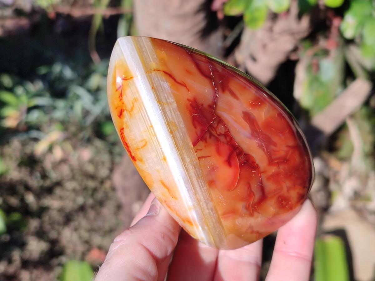 Polished Carnelian Agate Gemstone Flames x 6 From Madagascar - Toprock Gemstones and Minerals 
