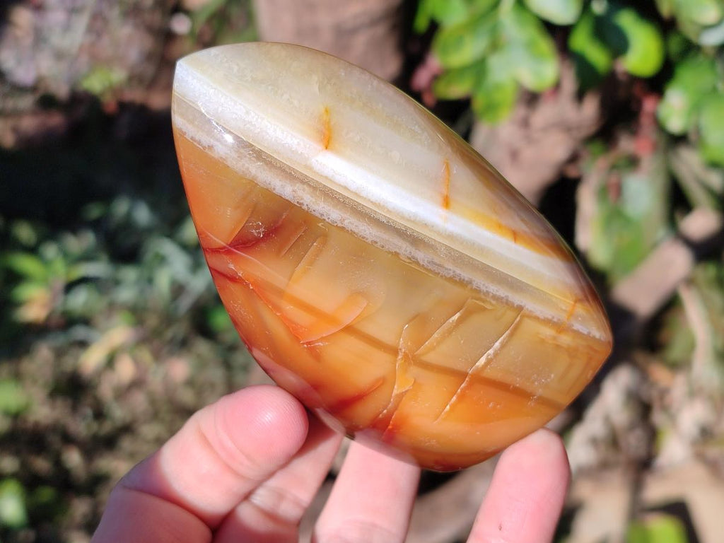 Polished Carnelian Agate Gemstone Flames x 6 From Madagascar - Toprock Gemstones and Minerals 