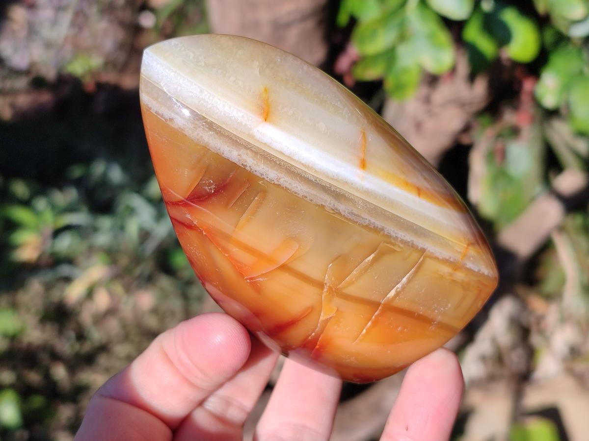 Polished Carnelian Agate Gemstone Flames x 6 From Madagascar - Toprock Gemstones and Minerals 