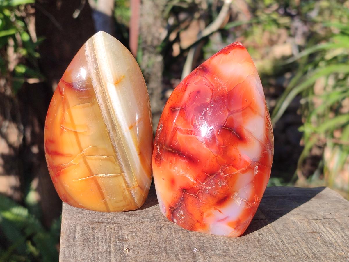 Polished Carnelian Agate Gemstone Flames x 6 From Madagascar - Toprock Gemstones and Minerals 