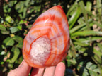Polished Carnelian Agate Gemstone Flames x 6 From Madagascar - Toprock Gemstones and Minerals 