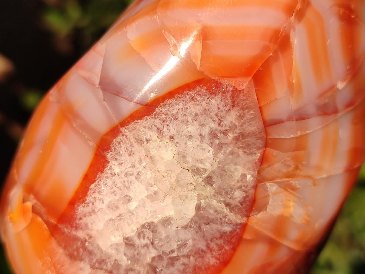 Polished Carnelian Agate Gemstone Flames x 6 From Madagascar - Toprock Gemstones and Minerals 