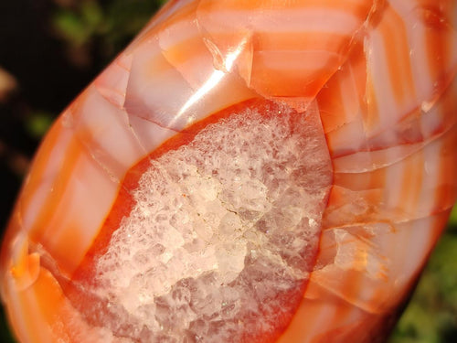 Polished Carnelian Agate Gemstone Flames x 6 From Madagascar - Toprock Gemstones and Minerals 
