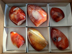 Polished Carnelian Agate Gemstone Flames x 6 From Madagascar - Toprock Gemstones and Minerals 