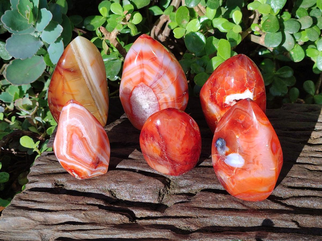 Polished Carnelian Agate Gemstone Flames x 6 From Madagascar - Toprock Gemstones and Minerals 