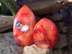 Polished Carnelian Agate Gemstone Flames x 6 From Madagascar - Toprock Gemstones and Minerals 